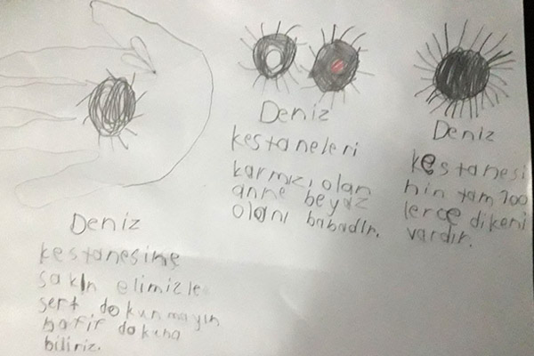 Temiz deniz, güzel Türkiyem-2