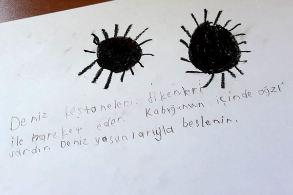 Temiz deniz, güzel Türkiyem-5