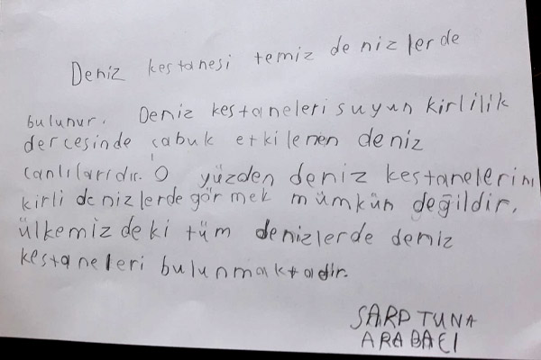 Temiz deniz, güzel Türkiyem-6