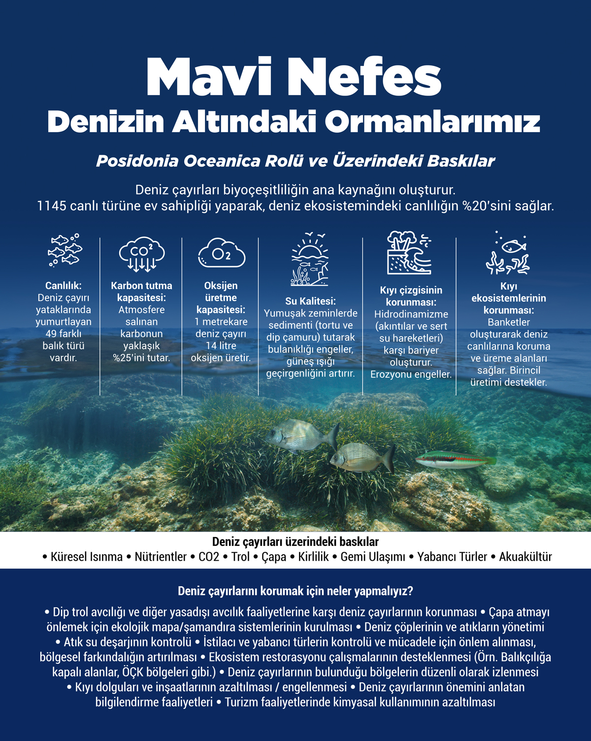 deniz_cayir_afis1A.jpg